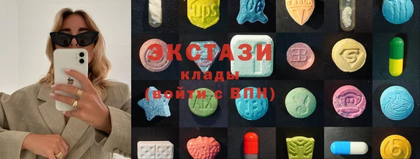 стаф Алзамай