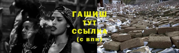 стаф Алзамай