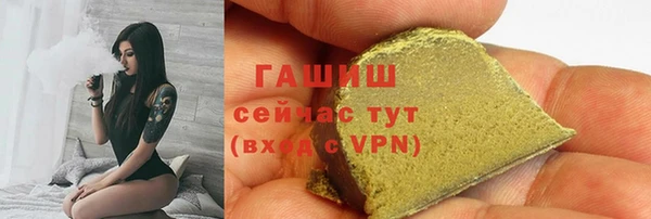 стаф Алзамай