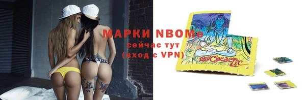 стаф Алзамай