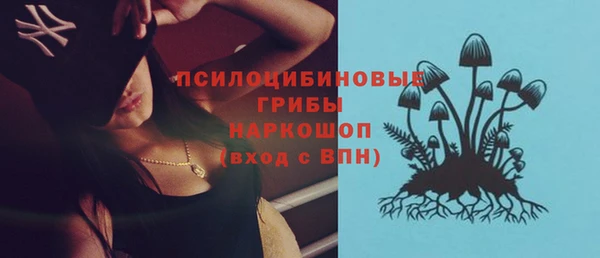 стаф Алзамай