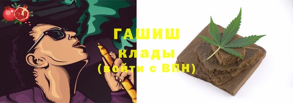 стаф Алзамай