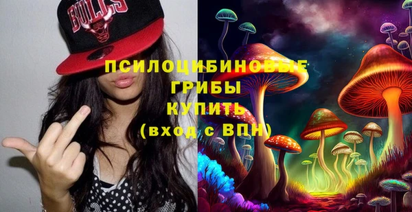 стаф Алзамай