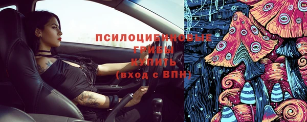 стаф Алзамай