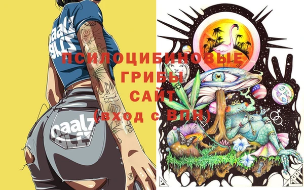 стаф Алзамай