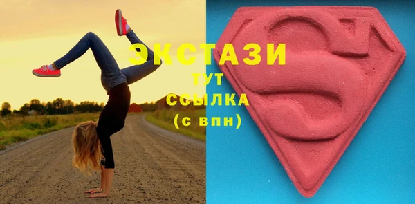 стаф Алзамай