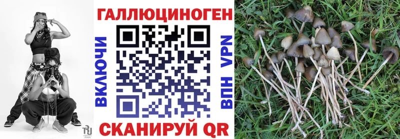 гидра сайт  хочу   Кизел  Галлюциногенные грибы ЛСД 